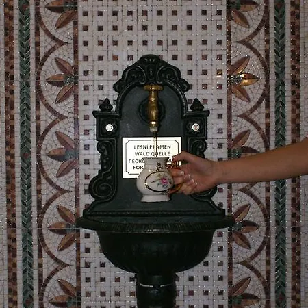 Otel & Wellness Harmonie Mariánské Lázně