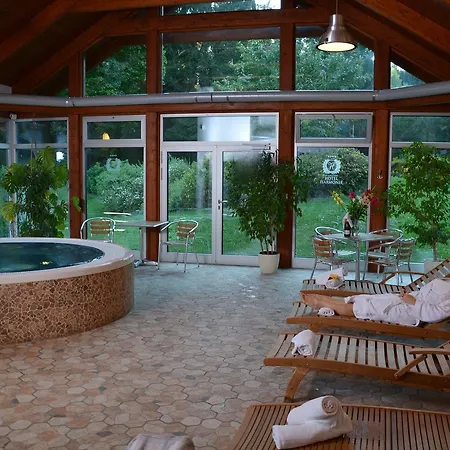 & Wellness Harmonie Otel Mariánské Lázně