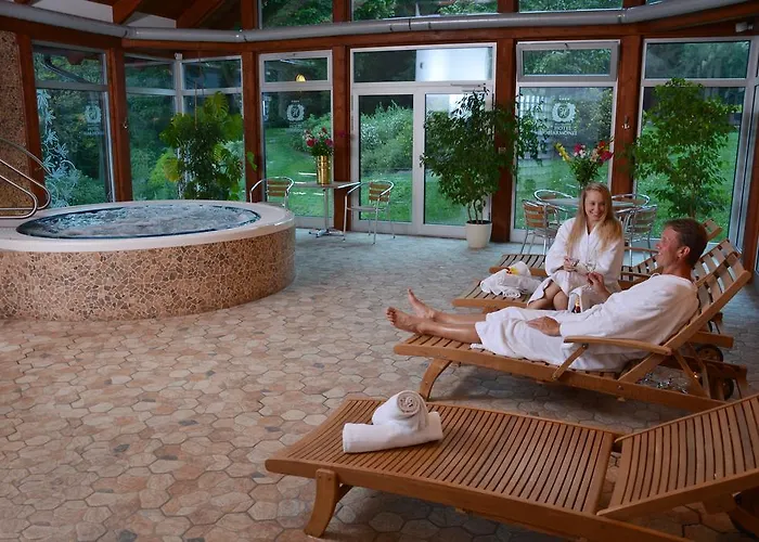 Spa&wellness Harmonie Hotel Mariánské Lázně