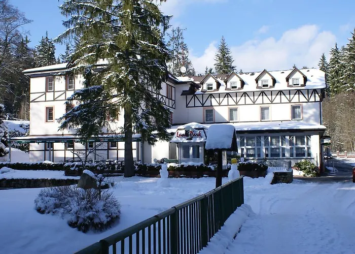 Spa&wellness Harmonie Hotel Mariánské Lázně