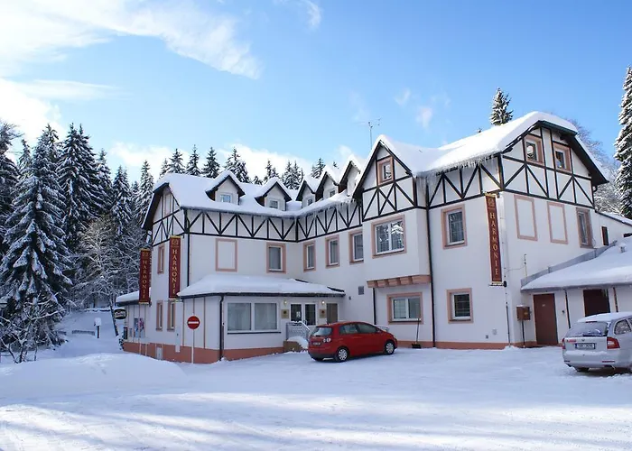 Hotel Spa&wellness Harmonie Mariánské Lázně