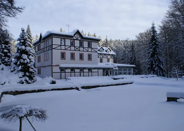 Spa&wellness Harmonie Hotel Mariánské Lázně