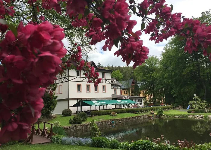 Spa&wellness Harmonie Hotel Mariánské Lázně