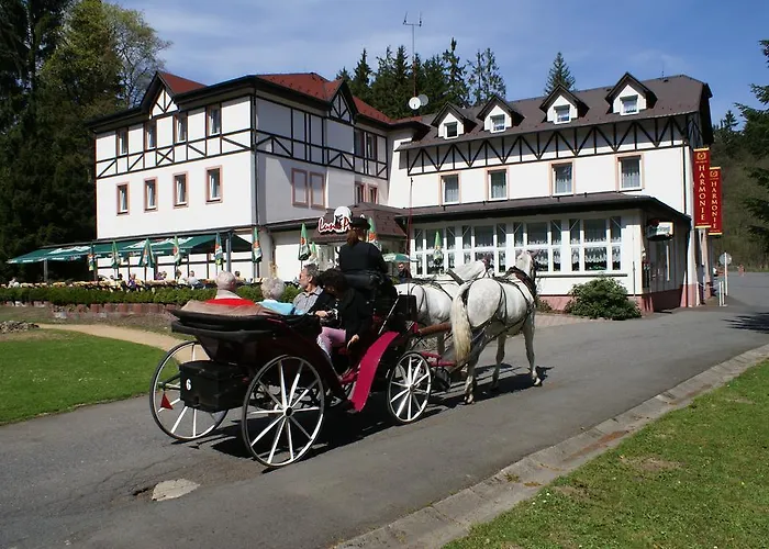 Spa&wellness Harmonie 3* Mariánské Lázně