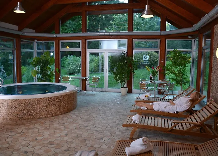 Spa&wellness Harmonie Hotel Mariánské Lázně