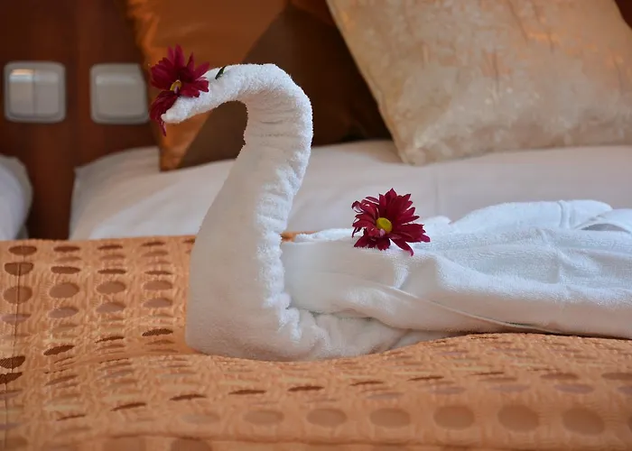 Spa&wellness Harmonie Hotel Mariánské Lázně