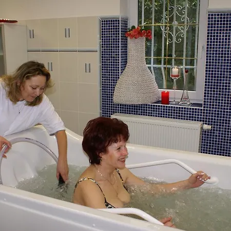 & Wellness Harmonie Hotel 3*
