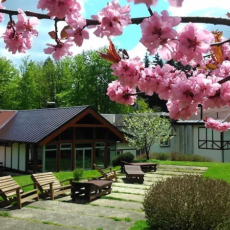Hotel & Wellness Harmonie 3*