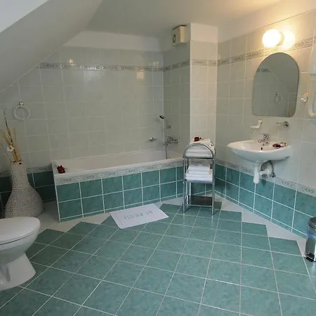 Hotel Spa&wellness Harmonie Mariánské Lázně