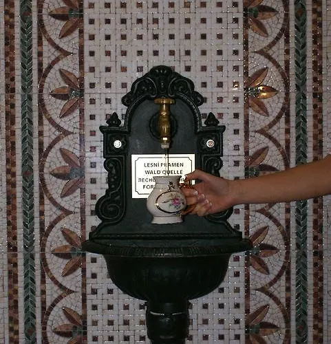 Hotel & Wellness Harmonie Mariánské Lázně